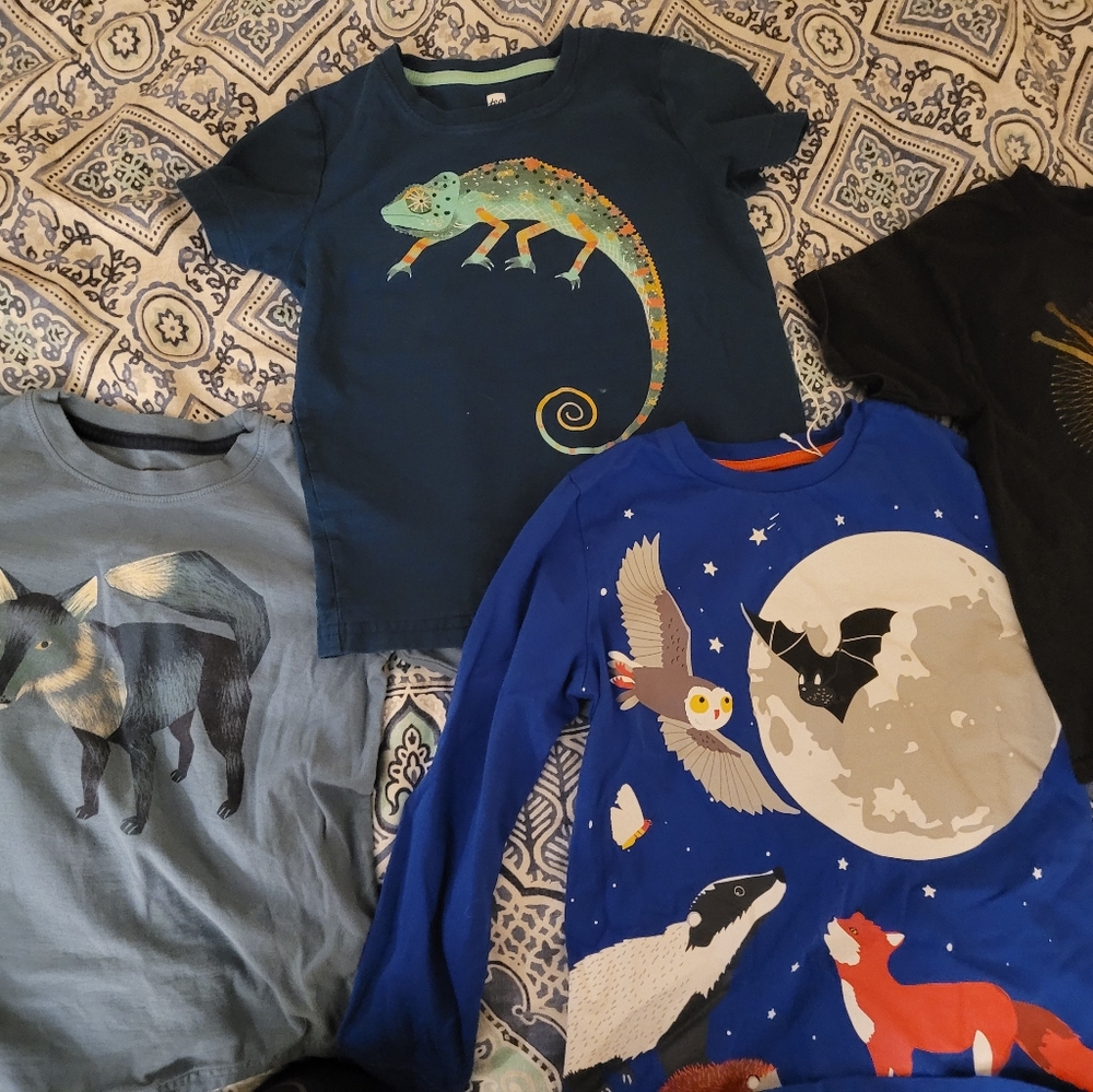Lot of little boys Tea and Hana Andersson size 6-7 shirts.